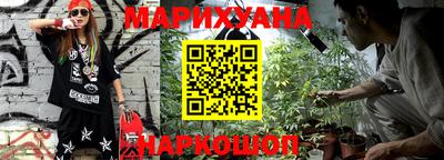 гашик Будённовск
