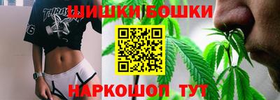 гашик Будённовск