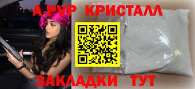 гашик Будённовск