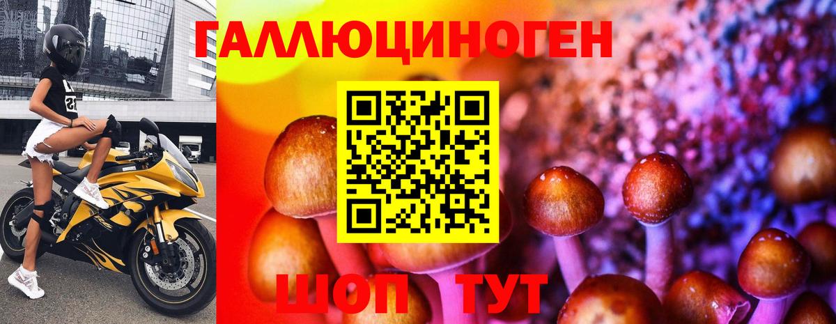 Галлюциногенные грибы Cubensis Острогожск
