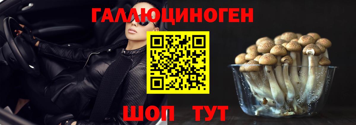 купить наркотики цена  Псилоцибиновые грибы прущие грибы  Вход с VPN  Острогожск 