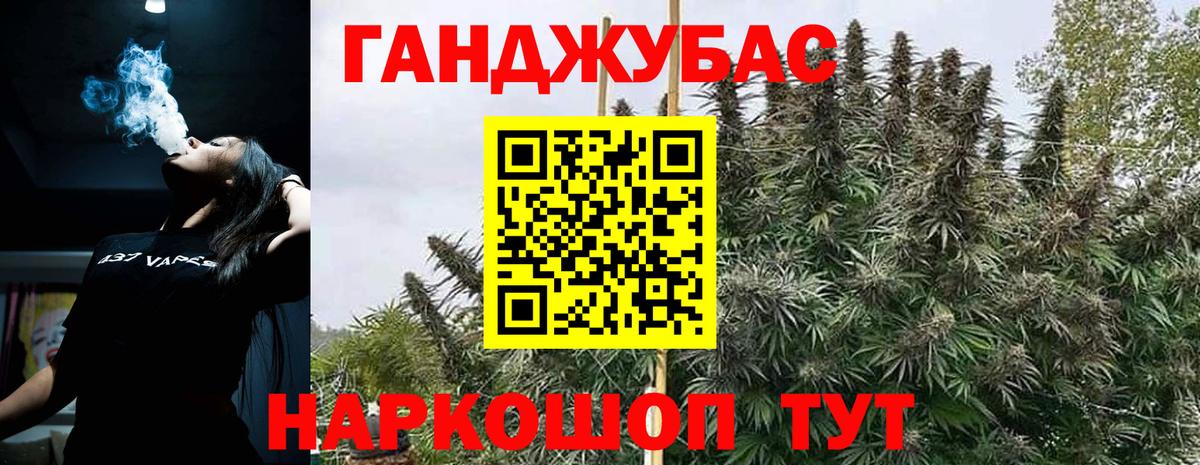 Бошки Шишки план Острогожск